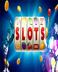 freebonus-ca.com free spins + casino(s)